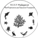 REEF Madagascar Thumbnail