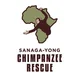 Sanaga-Yong Chimpanzee Rescue Thumbnail