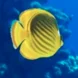 screen-shot-168_0.png Thumbnail