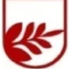english-language-and-culture-programme-bulgaria.jpg Thumbnail