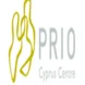 prio-logo.png Thumbnail
