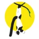 logo-markmbp-logo.png Thumbnail
