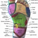 46117922_2297173893843941_2241263180871368704_n.jpg Thumbnail