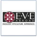 EVE Abroad Logo