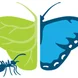 Monteverde Butterfly Garden
