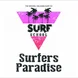 Surfers Paradise surf camp