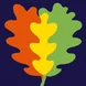 The Cambridge Red Oak Kindergarten oak leaves logo (copyrighted)