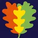 The Cambridge Red Oak Kindergarten oak leaves logo (copyrighted)