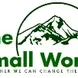 The Small World 