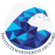 IMR LOGO