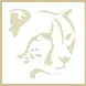 Modgaji Conservation Projects Cheetah Logo