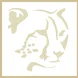 Modgaji Conservation Projects Cheetah Logo