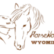HorseWorks Wyoming