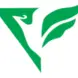 We help you to fly higher and higher