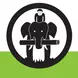 ivi volunteers logo