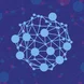BaPIs program image