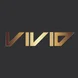 Vivid Snowboarding School