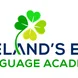 Image of Irish Shamrock and