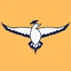 Dux TEFL