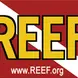 REEF.org