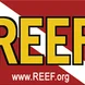REEF.org