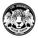 These are our jaguars, Nantar in front and her daughters , Wayus and Yaona.