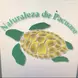 Save animals Costa Rica