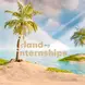 Island Internship, Internship Abroad, Work and Travel, Palm, Ocean, Beach