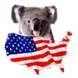 Work and Travel USA