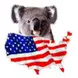 Work and Travel USA