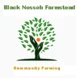 Black Nossob Farmstead