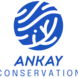 Ankay Conservation Coral and dive experiences