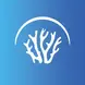Innoceana logo