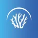 Innoceana logo