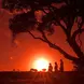 maasai warriors at sunset in maasai mara