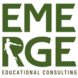 Gap Year Guidance for Emerging Young Adults