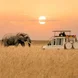 Tanzania unforgettable adventures