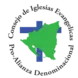CEPAD (the Council of Protestant Churches in Nicaragua)