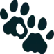 Bushwise New B logo
