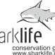 Sharklife Conservation Group