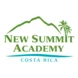 New Summit Academy Logo