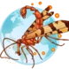 Global Entomology Coalition