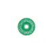 Aga Khan University Logo