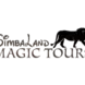 Simbaland Magic Tours