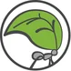 A leafcutter ant