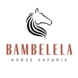 Bambelela Horse Safaris