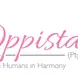 Oppistal Horses and Humans in Harmony 
