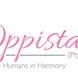 Oppistal Horses and Humans in Harmony 