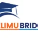 Elimu Bridge World is committed to bridging global medical education with real-world clinical experience in Tanzania. We offer comprehensive internship programs in Zanzibar and Dar es Salaam for international students pursuing careers in medicine, nursing, and public health. Our programs emphasize ethical practices, hands-on learning, and cultural exchange, enabling students to develop practical skills while contributing positively to local healthcare communities.