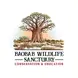 Stylized baobab tree set in a savanna landscape, with the words 'Education and Conservation' written underneath.